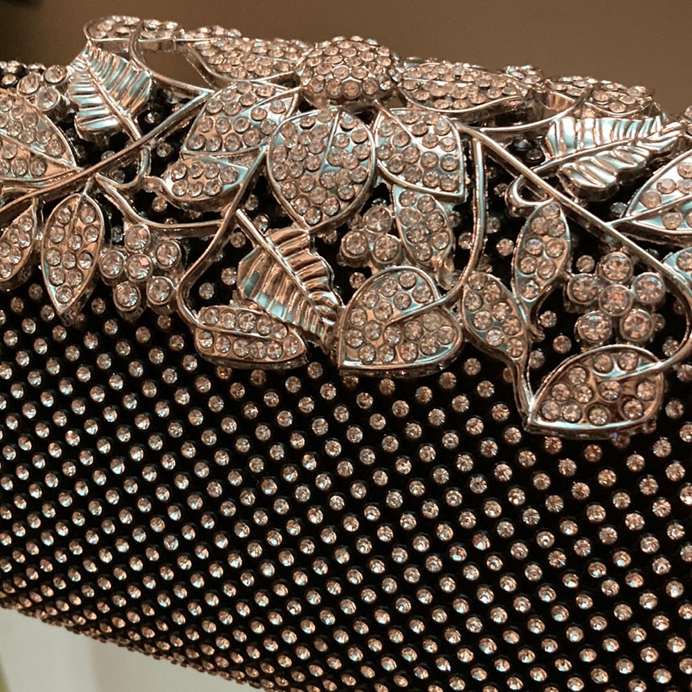 Beautiful ~Sparkle ~It’s a Clutch ~ also includes a long Strap!